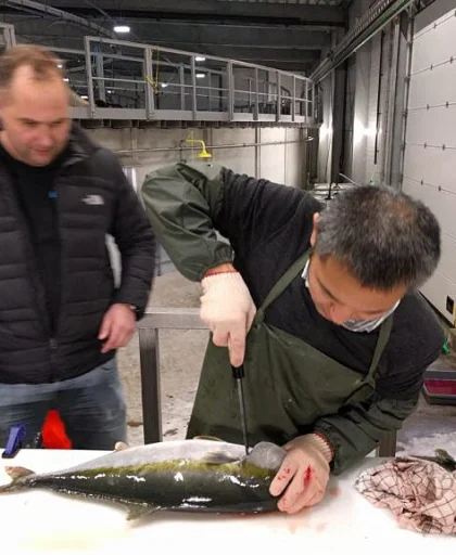 IMG_20180227_153121-1-768×576-1 IMG_20180227_153121-1-768x576-1