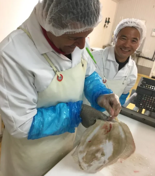 Tail Shinkeijime method on Turbot Tail Shinkeijime method on Turbot