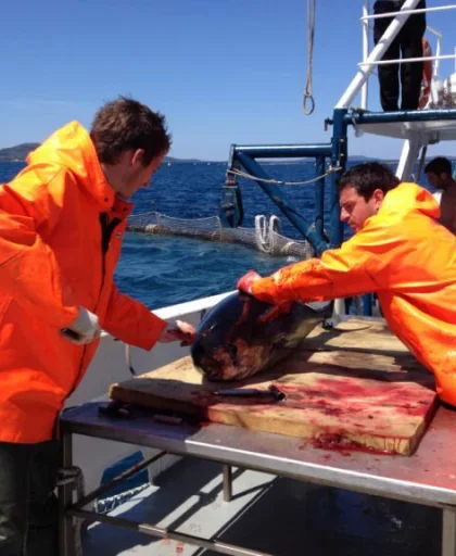 ProcedureImg1 ProcedureImg1