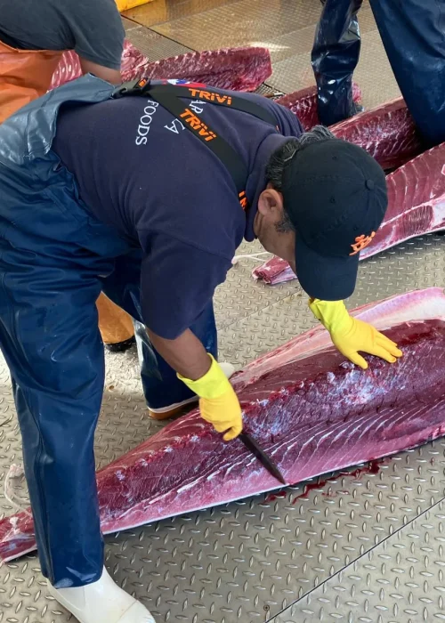 WhatsApp-Image-2024-05-01-at-9.22.32-AM