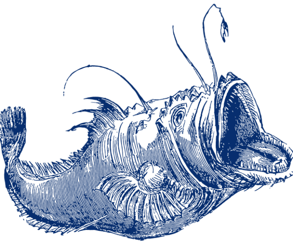 fish-icon-1.png fish-icon-1.png