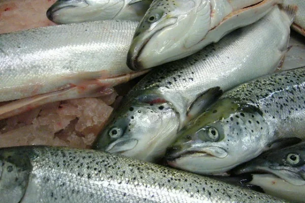 persuasive-stunning (1) persuasive-stunning (1)