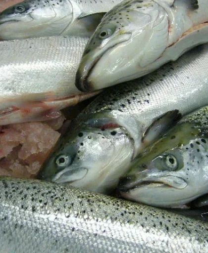 persuasive-stunning persuasive-stunning